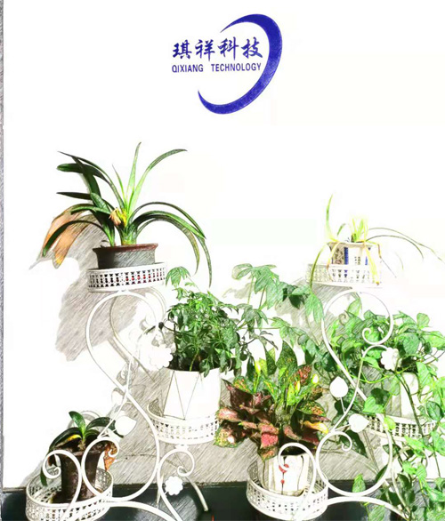 图片关键词